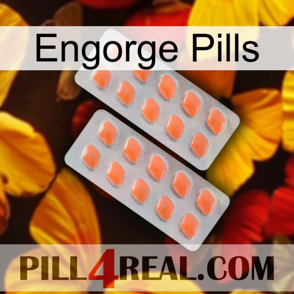 Engorge Pills 27.jpg